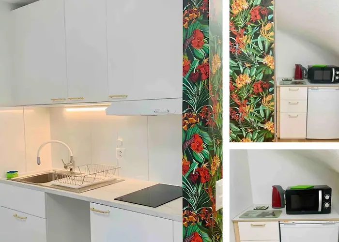 25M2 Studio With Kitchen In Zuerich