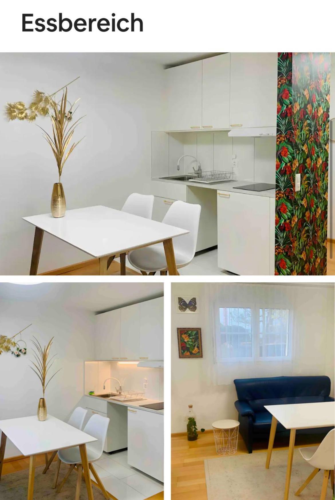 25m2 With Kitchen In Zürich